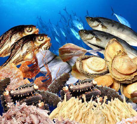 What is the Price for Seafood Drying Machine